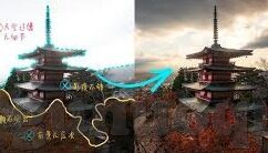 黄色人妻-黄色人妻，文化、社会与个人身份的交织