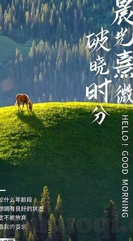 麻豆映画传媒出品-麻豆映画传媒，光影艺术中的文化探索与视界拓展